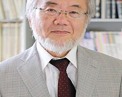 Yoshinori Osumi